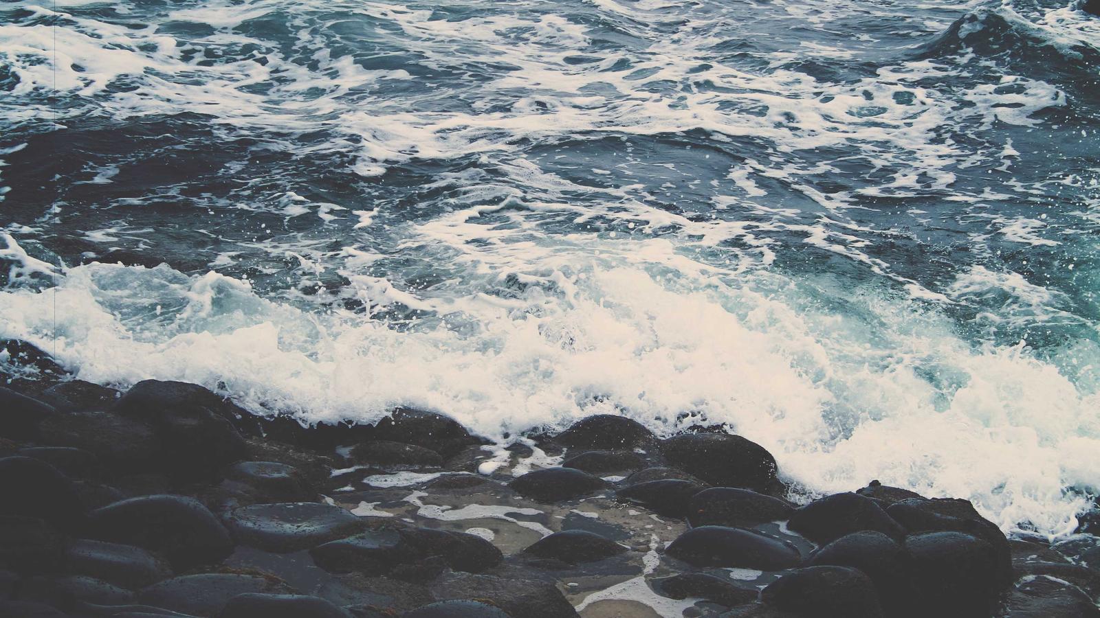 Performance Management